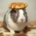 Oolong the Waffle Bunny logo
