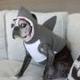SHARK DOG logo