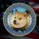 Department of Gov Efficiency logo