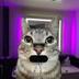 Meowtine logo