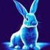 Sui Rabbit Coin logo