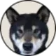Haru logo