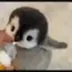 BABYPENGUIN logo