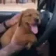 RED LAB RICKY logo