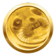 AWKWARD SEAL logo