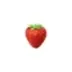 Berry logo
