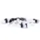 Liquidated cat logo