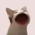 POPCAT logo