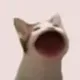 POPCAT logo