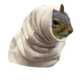 Seal Squirrel logo