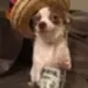 Firulais The Mexican Dog logo