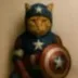 captain meowrica logo