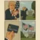 Flying Old Glory logo