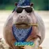 Hippocrips logo