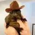 Peanut the Squirrel on SUI logo
