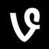 VineX Coin logo