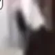 ELONS NEW DOG logo