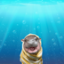 Seal Moo Deng logo