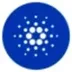 BasedCardano logo