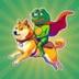 PEPE ON DOGE logo