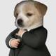 DOGWIFSUIT logo