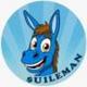 SUILEMAN logo
