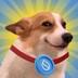 DogSui Meme logo