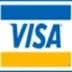 Visa Coin logo
