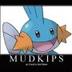 SUI Mudkips logo