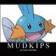 SUI Mudkips logo