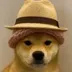 dogwif2hats logo