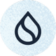 Spring SUI logo