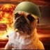 trench dog logo