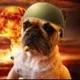 trench dog logo