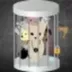 FREE THE MEMES logo