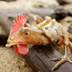 Chicken Crab logo