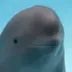 HANBAO THE FINLESS POROOISE logo