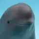 HANBAO THE FINLESS POROOISE logo