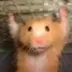 Skippy The Hamster logo