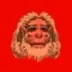 Apeman logo