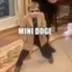 Mini Doge logo