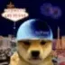 Dogwifsphere logo