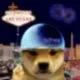 Dogwifsphere logo