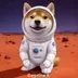 DogeStarX logo