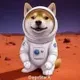 DogeStarX logo