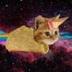 Icecreamtacocatsui logo