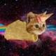Icecreamtacocatsui logo