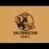 SALTMINECOIN logo