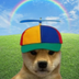 DOG WOF logo