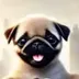 The Pug Savior logo